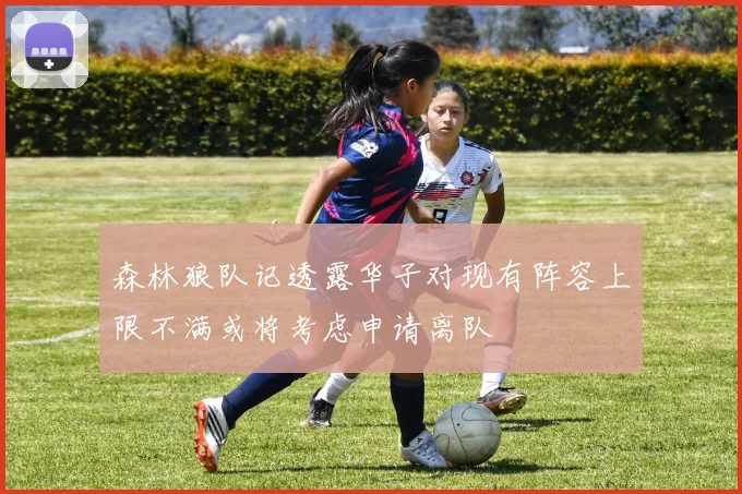 森林狼队记透露华子对现有阵容上限不满或将考虑申请离队