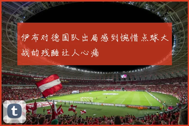 伊布对德国队出局感到惋惜点球大战的残酷让人心痛